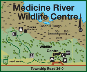 medicine-river-wildlife-centre